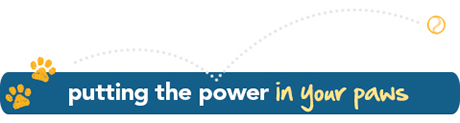 putting the power in your paws